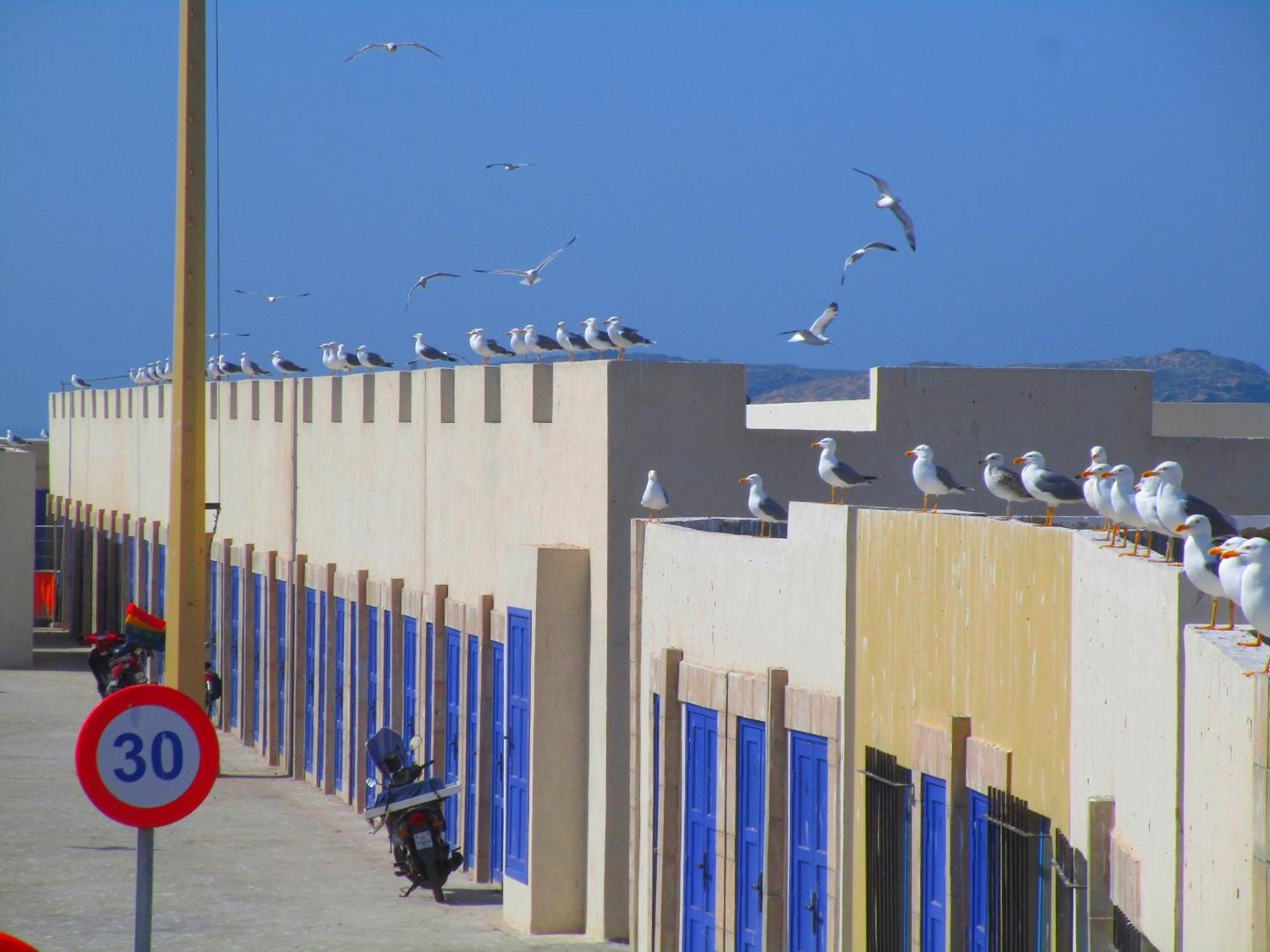 Casa Mogador Apartment Essaouira Exterior foto